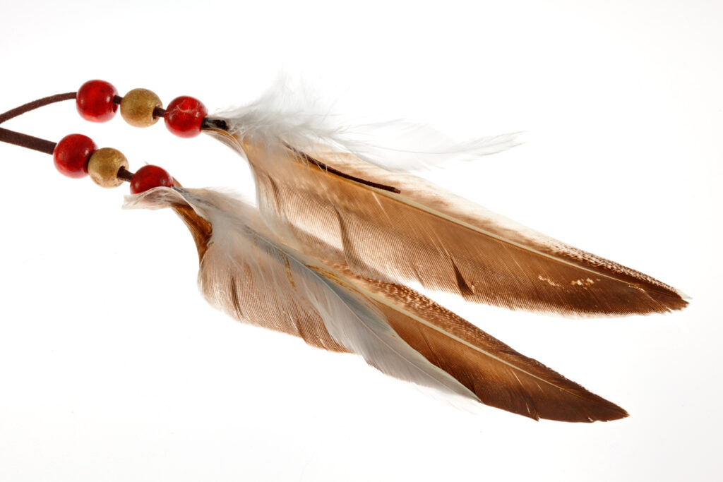 Plumas de ave usadas en los atrapasueños y culturas de los indios norteamericanos