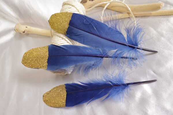 Plumas azules con puntas escarchadas