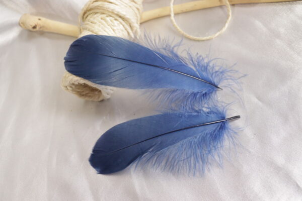 Plumas de ganso color azul