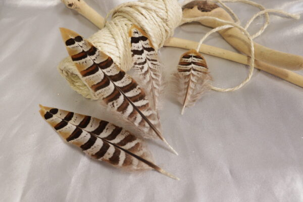 Pluma con punta triangulár