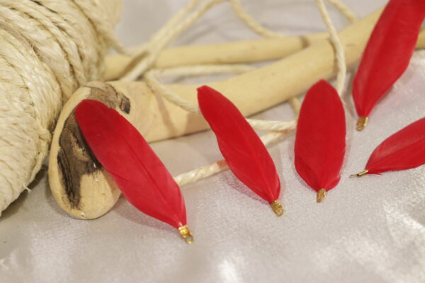 Plumas de pato con abrazadera color rojo