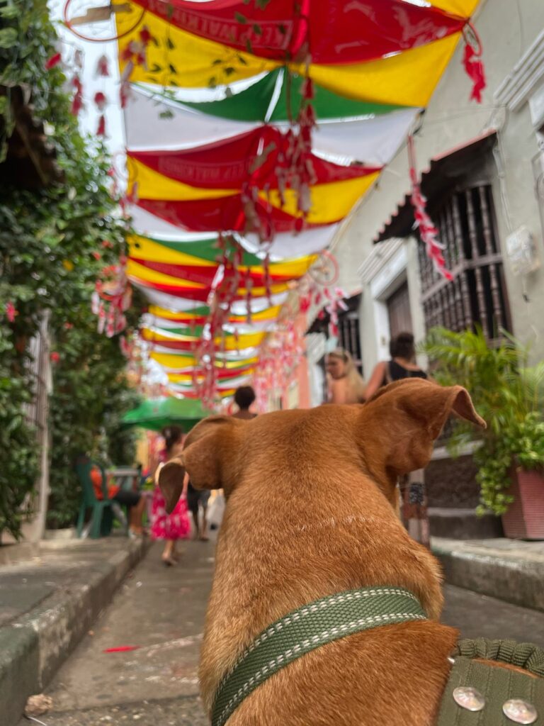 La calle con mis atrpasueños