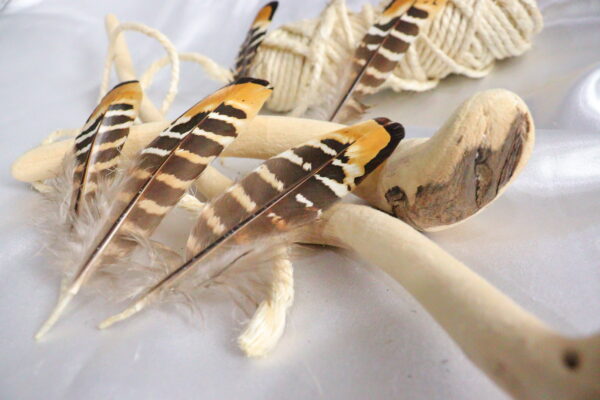 Plumas de faisán con rayas beige